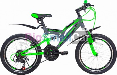 Дорожные велосипеды PIONEER TRIUMPH 20/13 gray-green-black - купить Верхних Кузлах